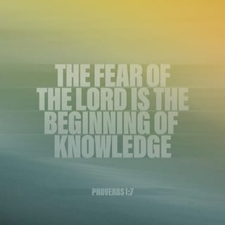 Proverbs 1:7 - Start with GOD—the first step in learning is bowing down to GOD;
only fools thumb their noses at such wisdom and learning.