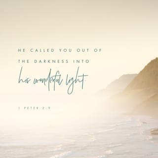 1 Peter 2:9-12 - But you are a chosen race, a royal priesthood, a holy nation, a people for his own possession, that you may proclaim the excellencies of him who called you out of darkness into his marvelous light. Once you were not a people, but now you are God’s people; once you had not received mercy, but now you have received mercy.
Beloved, I urge you as sojourners and exiles to abstain from the passions of the flesh, which wage war against your soul. Keep your conduct among the Gentiles honorable, so that when they speak against you as evildoers, they may see your good deeds and glorify God on the day of visitation.
