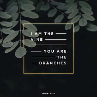 John 15:5 - I am the Vine; you are the branches. The one who remains in Me and I in him bears much fruit, for [otherwise] apart from Me [that is, cut off from vital union with Me] you can do nothing.