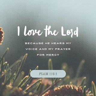 Psalms 116:1-2 - I love the LORD, because He hears
My voice and my supplications.
Because He has inclined His ear to me,
Therefore I shall call upon Him as long as I live.