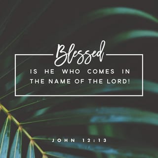 John 12:13 - took palm branches and went down the road to meet him. They shouted,
“Praise God!
Blessings on the one who comes in the name of the LORD!
Hail to the King of Israel!”