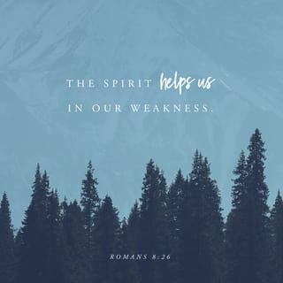 Romans 8:26-28 - Likewise the Spirit also helpeth our infirmities: for we know not what we should pray for as we ought: but the Spirit itself maketh intercession for us with groanings which cannot be uttered. And he that searcheth the hearts knoweth what is the mind of the Spirit, because he maketh intercession for the saints according to the will of God. And we know that all things work together for good to them that love God, to them who are the called according to his purpose.