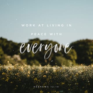 Hebrews 12:14 - Pursue peace with all men, and the sanctification without which no one will see the Lord.