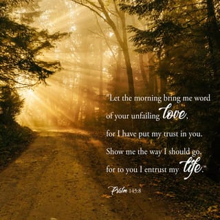 Psalms 143:8-10 - Let the morning bring me word of your unfailing love,
for I have put my trust in you.
Show me the way I should go,
for to you I entrust my life.
Rescue me from my enemies, LORD,
for I hide myself in you.
Teach me to do your will,
for you are my God;
may your good Spirit
lead me on level ground.