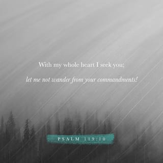 Psalms 119:9-10 - How can a young man cleanse his way?
By taking heed according to Your word.
With my whole heart I have sought You;
Oh, let me not wander from Your commandments!