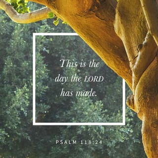 Psalms 118:24 - This is the day which the LORD has made;
Let us rejoice and be glad in it.