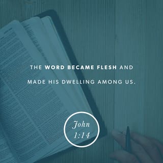 John 1:14 - The Word became flesh and blood,
and moved into the neighborhood.
We saw the glory with our own eyes,
the one-of-a-kind glory,
like Father, like Son,
Generous inside and out,
true from start to finish.
