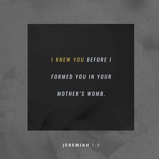 Jeremiah 1:4-5 - Then the word of the LORD came unto me, saying, Before I formed thee in the belly I knew thee; and before thou camest forth out of the womb I sanctified thee, and I ordained thee a prophet unto the nations.
