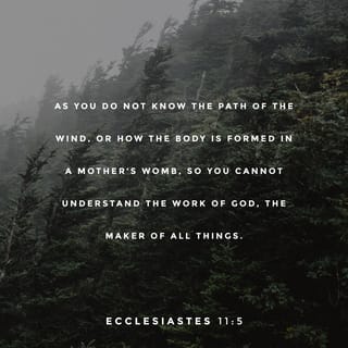 Ecclesiastes 11:5 - Just as you’ll never understand
the mystery of life forming in a pregnant woman,
So you’ll never understand
the mystery at work in all that God does.
