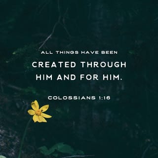Colossians 1:15-16 - The Son is the image of the invisible God, the firstborn over all creation. For in him all things were created: things in heaven and on earth, visible and invisible, whether thrones or powers or rulers or authorities; all things have been created through him and for him.