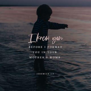 Jeremiah 1:5 - “Before I formed you in the womb I knew you,
And before you were born I consecrated you;
I have appointed you a prophet to the nations.”