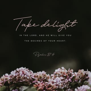Psalms 37:3-5 - Trust in the LORD, and do good;
Dwell in the land, and feed on His faithfulness.
Delight yourself also in the LORD,
And He shall give you the desires of your heart.
Commit your way to the LORD,
Trust also in Him,
And He shall bring it to pass.