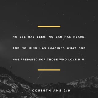 1 Corinthians 2:9 - But as it is written in the Scriptures:
“No one has ever seen this,
and no one has ever heard about it.
No one has ever imagined
what God has prepared for those who love him.”