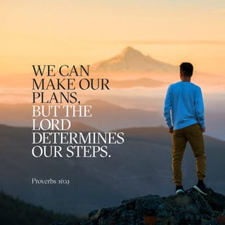 Proverbs 16:9 - A person’s heart plans his way,
but the LORD determines his steps.