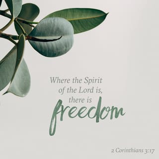 2 Corinthians 3:16-18 - but whenever a person turns to the Lord, the veil is taken away. Now the Lord is the Spirit, and where the Spirit of the Lord is, there is liberty. But we all, with unveiled face, beholding as in a mirror the glory of the Lord, are being transformed into the same image from glory to glory, just as from the Lord, the Spirit.