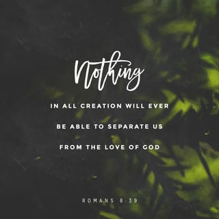 Romans 8:38-39-38-39 - Yes, I am sure that nothing can separate us from the love God has for us. Not death, not life, not angels, not ruling spirits, nothing now, nothing in the future, no powers, nothing above us, nothing below us, or anything else in the whole world will ever be able to separate us from the love of God that is in Christ Jesus our Lord.