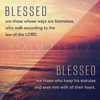 Psalms 119:1-8 - Blessed are the undefiled in the way,
Who walk in the law of the LORD!
Blessed are those who keep His testimonies,
Who seek Him with the whole heart!
They also do no iniquity;
They walk in His ways.
You have commanded us
To keep Your precepts diligently.
Oh, that my ways were directed
To keep Your statutes!
Then I would not be ashamed,
When I look into all Your commandments.
I will praise You with uprightness of heart,
When I learn Your righteous judgments.
I will keep Your statutes;
Oh, do not forsake me utterly!