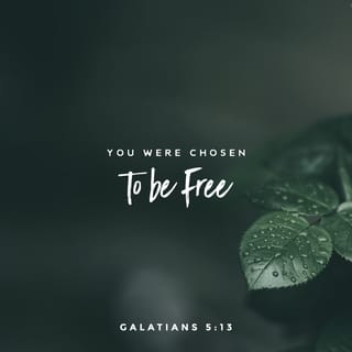 Galatians 5:13 - Beloved ones, God has called us to live a life of freedom. But don’t view this wonderful freedom as an excuse to set up a base of operations in the natural realm. Constantly love each other and be committed to serve one another.