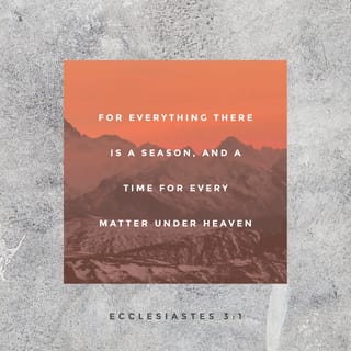 Ecclesiastes 3:1-13 - There is a time for everything,
and a season for every activity under the heavens:

a time to be born and a time to die,
a time to plant and a time to uproot,
a time to kill and a time to heal,
a time to tear down and a time to build,
a time to weep and a time to laugh,
a time to mourn and a time to dance,
a time to scatter stones and a time to gather them,
a time to embrace and a time to refrain from embracing,
a time to search and a time to give up,
a time to keep and a time to throw away,
a time to tear and a time to mend,
a time to be silent and a time to speak,
a time to love and a time to hate,
a time for war and a time for peace.
What do workers gain from their toil? I have seen the burden God has laid on the human race. He has made everything beautiful in its time. He has also set eternity in the human heart; yet no one can fathom what God has done from beginning to end. I know that there is nothing better for people than to be happy and to do good while they live. That each of them may eat and drink, and find satisfaction in all their toil—this is the gift of God.