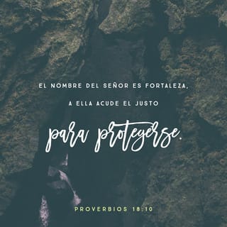 Proverbios 18:10 RVR1960