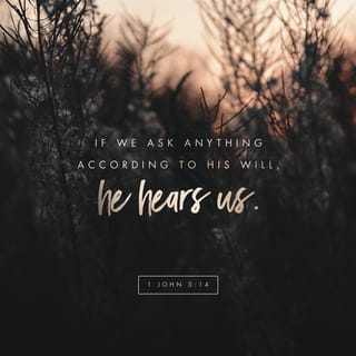 1 John 5:14-15 - This is the [remarkable degree of] confidence which we [as believers are entitled to] have before Him: that if we ask anything according to His will, [that is, consistent with His plan and purpose] He hears us. And if we know [for a fact, as indeed we do] that He hears and listens to us in whatever we ask, we [also] know [with settled and absolute knowledge] that we have [granted to us] the requests which we have asked from Him.