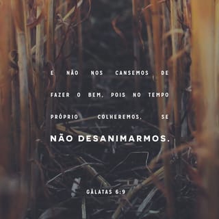 Gálatas 6:9 - E não nos cansemos de fazer o bem, porque no tempo certo faremos a colheita, se não desanimarmos.