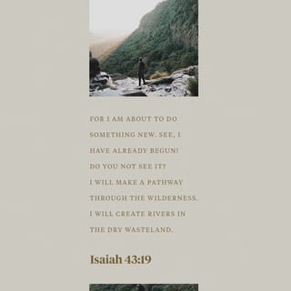 Isaiah 43:19-20 - Behold, I am doing a new thing;
now it springs forth, do you not perceive it?
I will make a way in the wilderness
and rivers in the desert.
The wild beasts will honor me,
the jackals and the ostriches,
for I give water in the wilderness,
rivers in the desert,
to give drink to my chosen people