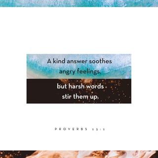 Proverbs 15:1-2 - A soft answer turns away wrath,
But a harsh word stirs up anger.
The tongue of the wise uses knowledge rightly,
But the mouth of fools pours forth foolishness.