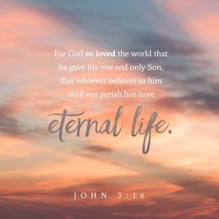 John 3:16-36 - For here is the way God loved the world—he gave his only, unique Son as a gift. So now everyone who believes in him will never perish but experience everlasting life.
“God did not send his Son into the world to judge and condemn the world, but to be its Savior and rescue it! So now there is no longer any condemnation for those who believe in him, but the unbeliever already lives under condemnation because they do not believe in the name of the only Son of God. And here is the basis for their judgment: The Light of God has now come into the world, but the people loved darkness more than the Light, because they want the darkness to conceal their evil. So the wicked hate the Light and try to hide from it, for the Light fully exposes their lives. But those who love the truth will come into the Light, for the Light will reveal that it was God who produced their fruitful works.”

Then Jesus and his disciples left for a length of time into the Judean countryside where they baptized the people. At this time John was still baptizing people at Aenon, near Salim, where there was plenty of water, and the people kept coming for John to baptize them. (This was before John was thrown into prison.)
An argument started between John’s disciples and a particular Jewish man about baptism. So they went to John and asked him, “Teacher, are you aware that the One you told us about at the crossing place—he’s now baptizing crowds larger than yours. People are flocking to him!”
John answered them, “A person cannot receive even one thing unless God bestows it. You’ve heard me tell you that I am not the Messiah, but certainly I am the messenger sent ahead of him. He is the Bridegroom, and the bride belongs to him. I am the friend of the Bridegroom who stands nearby and listens with great joy to the Bridegroom’s voice. Because of his words, my joy is complete and overflows! It is necessary for him to increase and for me to decrease.
“For the one who is from the earth belongs to the earth and speaks from the natural realm. But the One who comes from above is above everything and speaks of the highest realm of all! His message is about what he has seen and experienced, even though people don’t accept it. Yet those who embrace his message know in their hearts that it’s the truth.
“The One whom God has sent to represent him will speak the words of God, because God has poured out upon him the fullness of the Holy Spirit without limitation. The Father loves his Son so much that he has given all things into his hands. Those who trust in the Son possess eternal life; those who don’t obey the Son will not see life, and God’s anger will rise up against them.”