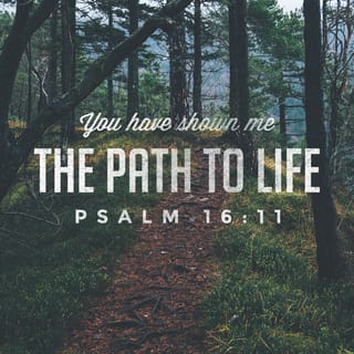 Psalms 16:11 - Thou wilt show me the path of life:
In thy presence is fulness of joy;
In thy right hand there are pleasures for evermore.