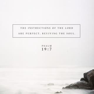 Psalms 19:7-11 - The law of the LORD is perfect,
refreshing the soul.
The statutes of the LORD are trustworthy,
making wise the simple.
The precepts of the LORD are right,
giving joy to the heart.
The commands of the LORD are radiant,
giving light to the eyes.
The fear of the LORD is pure,
enduring forever.
The decrees of the LORD are firm,
and all of them are righteous.

They are more precious than gold,
than much pure gold;
they are sweeter than honey,
than honey from the honeycomb.
By them your servant is warned;
in keeping them there is great reward.