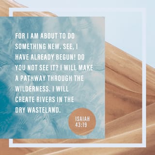 Isaiah 43:19-20 - Look at the new thing I am going to do.
It is already happening. Don’t you see it?
I will make a road in the desert
and rivers in the dry land.
Even the wild animals will be thankful to me—
the wild dogs and owls.
They will honor me when I put water in the desert
and rivers in the dry land
to give water to my people, the ones I chose.