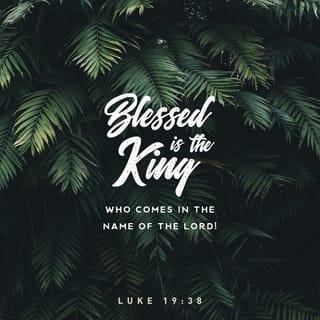 Luke 19:38 - saying:
“ ‘Blessed is the King who comes in the name of the LORD!’
Peace in heaven and glory in the highest!”
