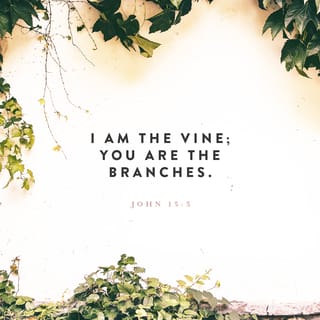 John 15:5-6 - “I am the vine; you are the branches. If you remain in me and I in you, you will bear much fruit; apart from me you can do nothing. If you do not remain in me, you are like a branch that is thrown away and withers; such branches are picked up, thrown into the fire and burned.