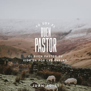 S. Juan 10:11 RVR1960