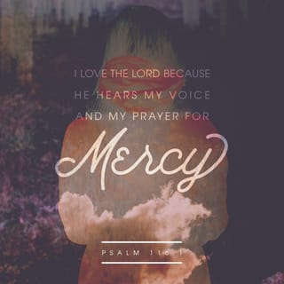 Psalms 116:1-2 - I am passionately in love with God because he listens to me.
He hears my prayers and answers them.
As long as I live I’ll keep praying to him,
for he stoops down to listen to my heart’s cry.