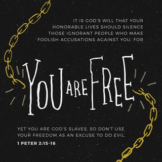 1 Peter 2:15-17 - For it is God’s will for you to silence the ignorance of foolish people by doing what is right.
As God’s loving servants, you should live in complete freedom, but never use your freedom as a cover-up for evil. Recognize the value of every person and continually show love to every believer. Live your lives with great reverence and in holy awe of God. Honor your rulers.