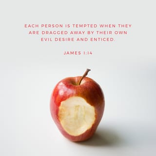 James 1:13-14 - Let no one say when he is tempted, “I am tempted by God”; for God cannot be tempted by evil, nor does He Himself tempt anyone. But each one is tempted when he is drawn away by his own desires and enticed.