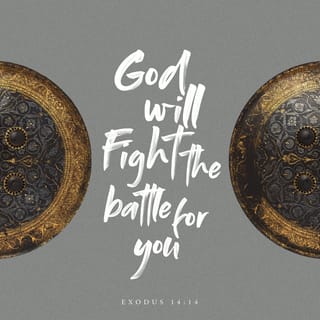 Exodus 14:13-22 - Then Moses said to the people, “Do not be afraid! Take your stand [be firm and confident and undismayed] and see the salvation of the LORD which He will accomplish for you today; for those Egyptians whom you have seen today, you will never see again. The LORD will fight for you while you [only need to] keep silent and remain calm.”
The LORD said to Moses, “Why do you cry to Me? Tell the sons of Israel to move forward [toward the sea]. As for you, lift up your staff and stretch out your hand over the sea and divide it, so that the sons of Israel may go through the middle of the sea on dry land. As for Me, hear this: I will harden the hearts of the Egyptians, and they will go in [the sea] after them; and I will be glorified and honored through Pharaoh and all his army, and his war-chariots and his horsemen. And the Egyptians shall know [without any doubt] and acknowledge that I am the LORD, when I am glorified and honored through Pharaoh, through his war-chariots and his charioteers.”
The angel of God, who had been going in front of the camp of Israel, moved and went behind them. The pillar of the cloud moved from in front and stood behind them. So it came between the camp of Egypt and the camp of Israel. It was a cloud along with darkness [even by day to the Egyptians], but it gave light by night [to the Israelites]; so one [army] did not come near the other all night.
Then Moses stretched out his hand over the sea; and the LORD swept the sea back by a strong east wind all that night and turned the seabed into dry land, and the waters were divided. The Israelites went into the middle of the sea on dry land, and the waters formed a wall to them on their right hand and on their left.