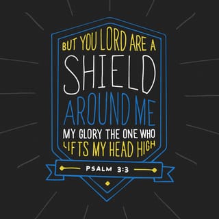 Psalms 3:3-4 - But you, GOD, shield me on all sides;
You ground my feet, you lift my head high;
With all my might I shout up to GOD,
His answers thunder from the holy mountain.
