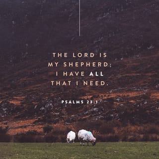 Psalms 23:1 - YAHWEH is my best friend and my shepherd.
I always have more than enough.