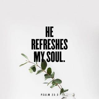 Psalm 23:2-3 - He makes me lie down in [fresh, tender] green pastures; He leads me beside the still and restful waters. [Rev. 7:17.]
He refreshes and restores my life (my self); He leads me in the paths of righteousness [uprightness and right standing with Him–not for my earning it, but] for His name's sake.
