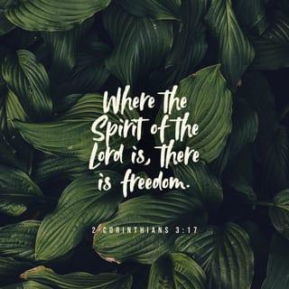 2 Corinthians 3:17-18 - The Lord is the Spirit, and where the Spirit of the Lord is, there is freedom. Our faces, then, are not covered. We all show the Lord’s glory, and we are being changed to be like him. This change in us brings ever greater glory, which comes from the Lord, who is the Spirit.