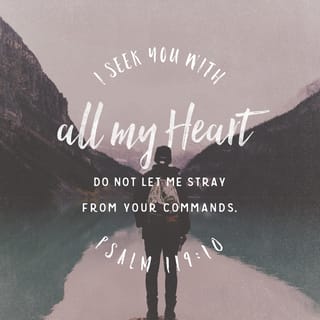 Psalms 119:9-10 - How can a young person stay on the path of purity?
By living according to your word.
I seek you with all my heart;
do not let me stray from your commands.