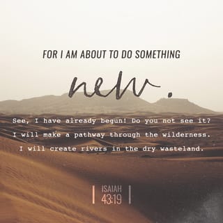Isaiah 43:19-20 - For I am about to do something new.
See, I have already begun! Do you not see it?
I will make a pathway through the wilderness.
I will create rivers in the dry wasteland.
The wild animals in the fields will thank me,
the jackals and owls, too,
for giving them water in the desert.
Yes, I will make rivers in the dry wasteland
so my chosen people can be refreshed.