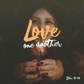 John 13:34-35 - ‘A new command I give you: love one another. As I have loved you, so you must love one another. By this everyone will know that you are my disciples, if you love one another.’