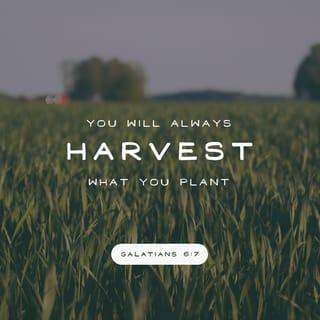 Galatians 6:7 - Don’t be misled—you cannot mock the justice of God. You will always harvest what you plant.