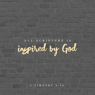 2 Timothy 3:16-17 - All Scripture is inspired by God and beneficial for teaching, for rebuke, for correction, for training in righteousness; so that the man or woman of God may be fully capable, equipped for every good work.