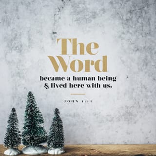 John 1:14-16 - The Word became flesh and made his dwelling among us. We have seen his glory, the glory of the one and only Son, who came from the Father, full of grace and truth.
(John testified concerning him. He cried out, saying, “This is the one I spoke about when I said, ‘He who comes after me has surpassed me because he was before me.’ ”) Out of his fullness we have all received grace in place of grace already given.
