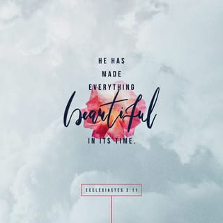 Ecclesiastes 3:11-13 - He hath made every thing beautiful in his time: also he hath set the world in their heart, so that no man can find out the work that God maketh from the beginning to the end. I know that there is no good in them, but for a man to rejoice, and to do good in his life. And also that every man should eat and drink, and enjoy the good of all his labour, it is the gift of God.